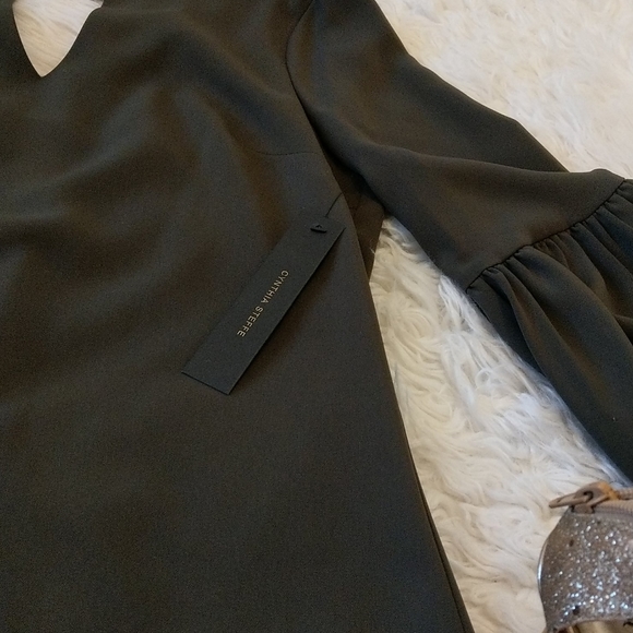 Brand new elegant Cynthia Steffe dress - Picture 4 of 8